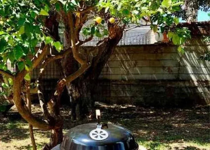 Alexandra Rio Patra Vila