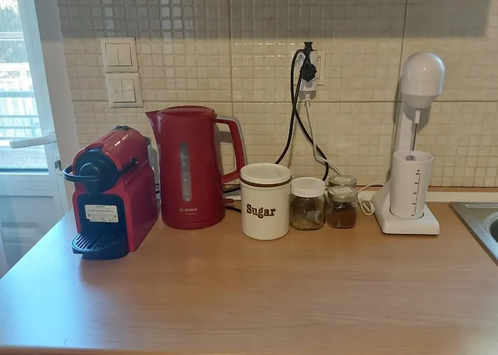 Alexandra Rio Patra *