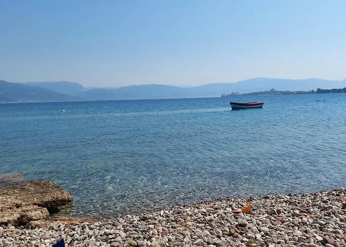 Alexandra Rio Patra Vila *